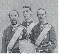 Frederik VIII.
