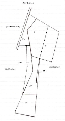 Mosekaer 1978-1979